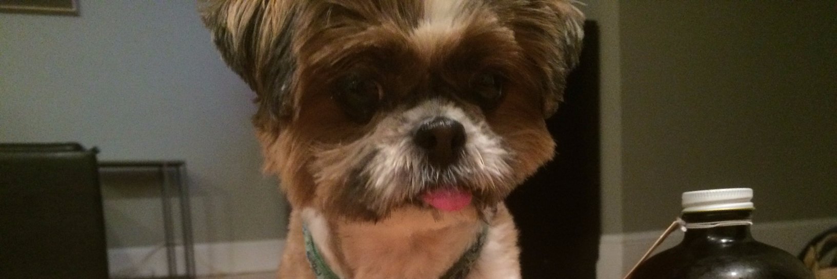 Tippling_Tippy's profile banner image
