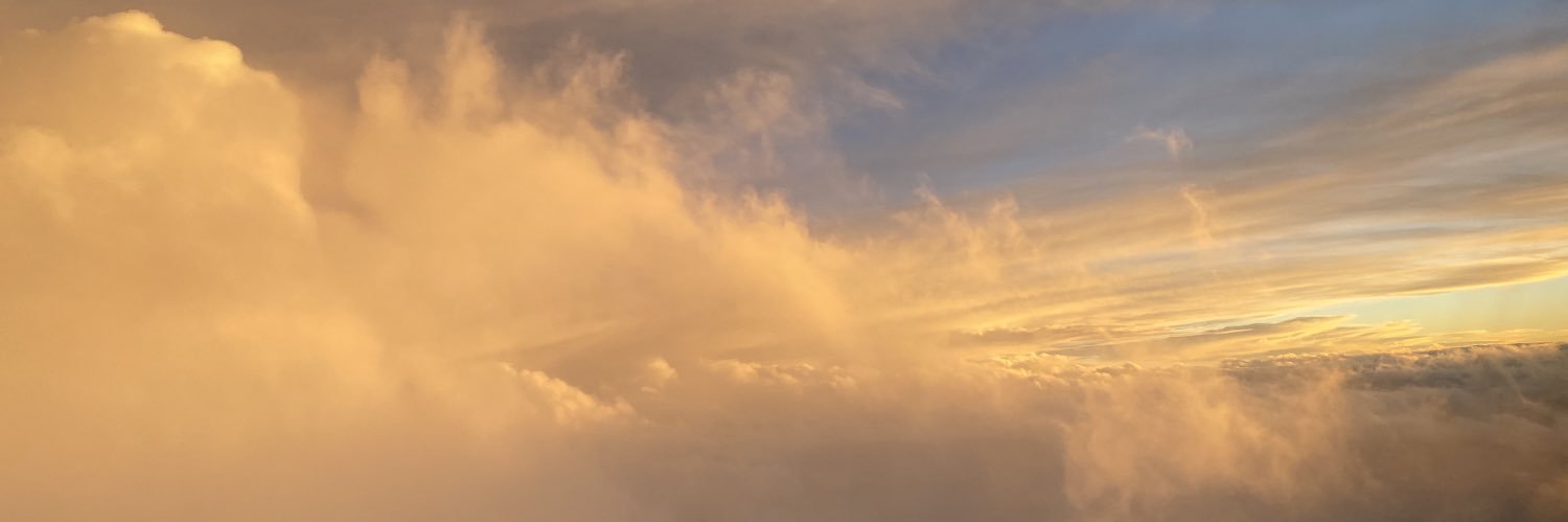 caitlinmlarsen's profile banner image