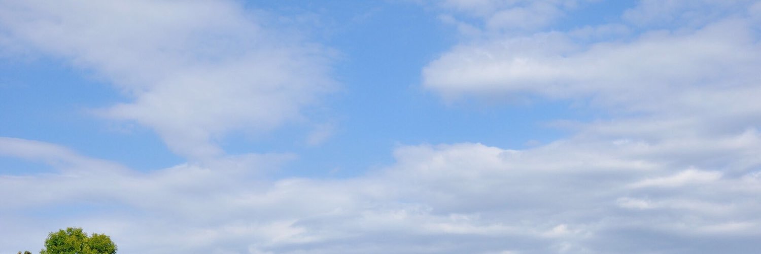 SarahRebling's profile banner image