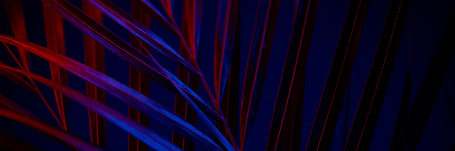 zoelebon's profile banner image