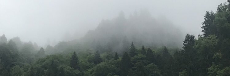 flooora1997's profile banner image