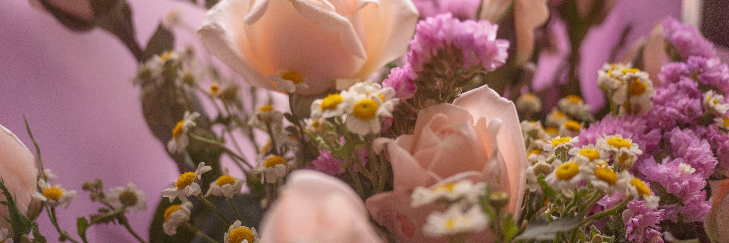 ddavidrms's profile banner image
