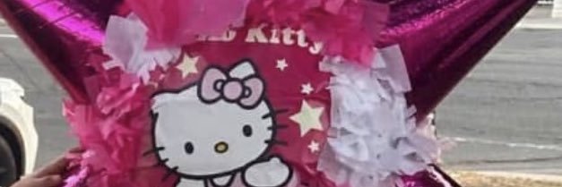lily21091's profile banner image