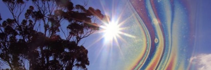 leni_420's profile banner image