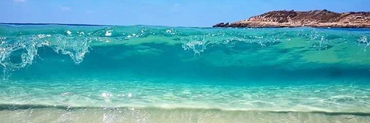 'Marge Dacre' 🇮🇱 banner