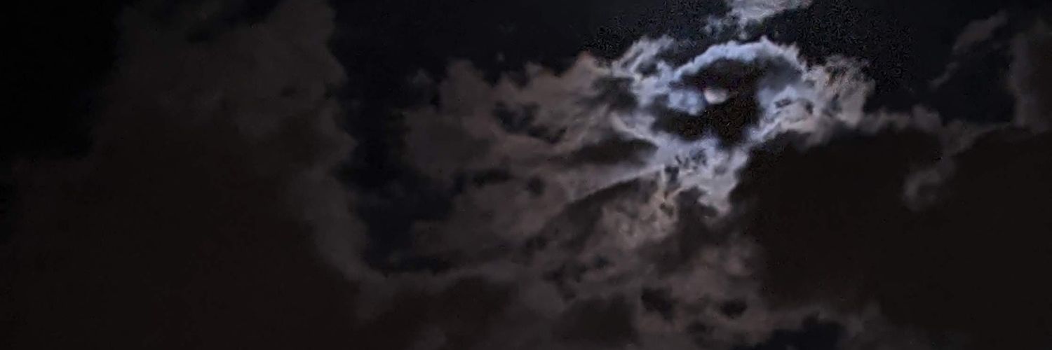 prinski1's profile banner image