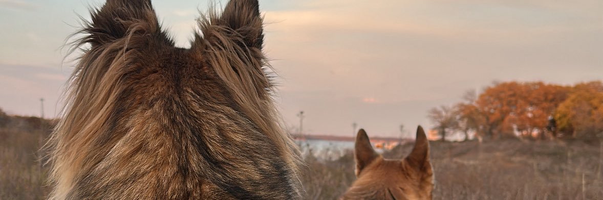 jakehenrysmith's profile banner image