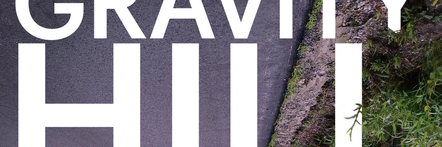 SusanneMDavis's profile banner image