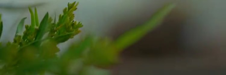 i80oo's profile banner image
