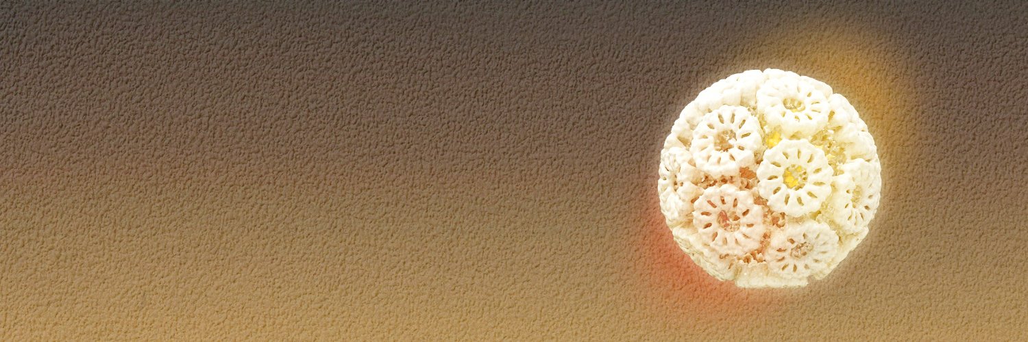 alikrht's profile banner image