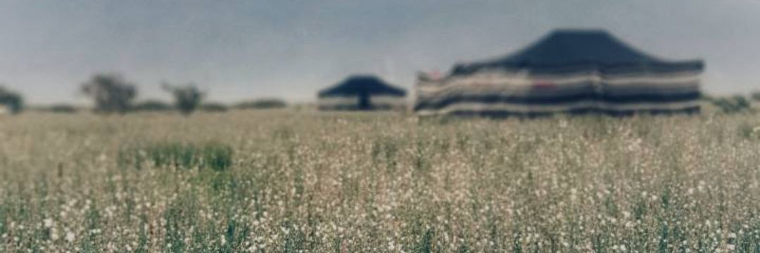 dho0ome46's profile banner image