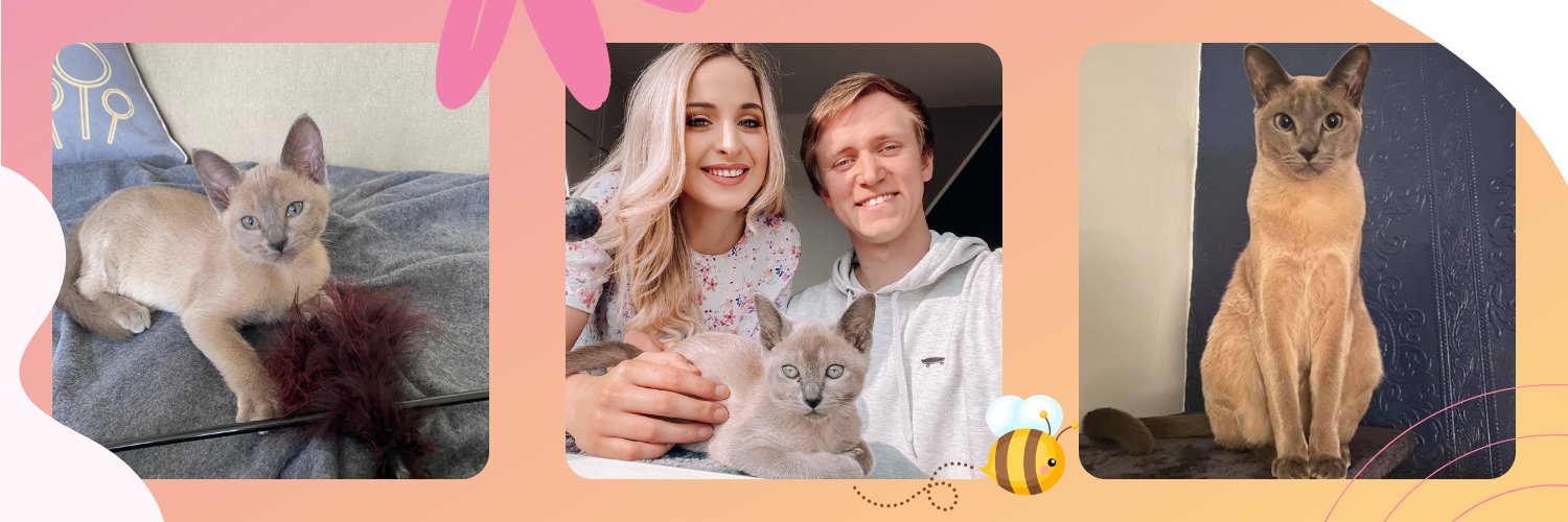 allthingsamyb's profile banner image