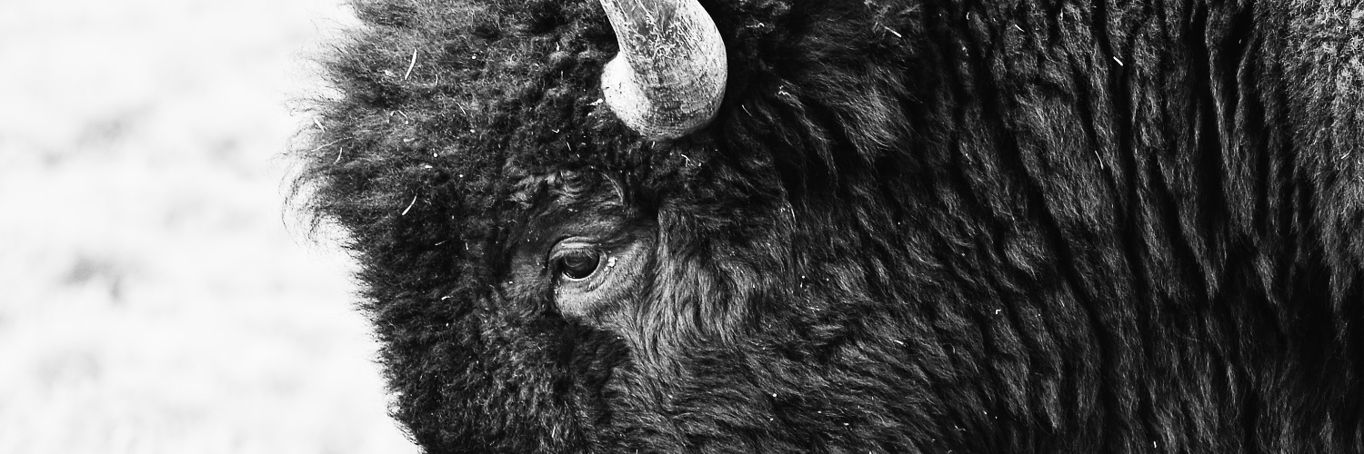 NativeOklahoma's profile banner image