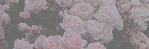 _abbyhoy's profile banner image