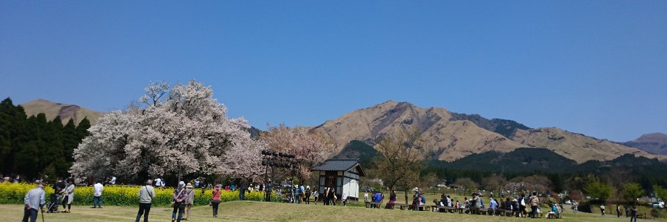 you_one's profile banner image