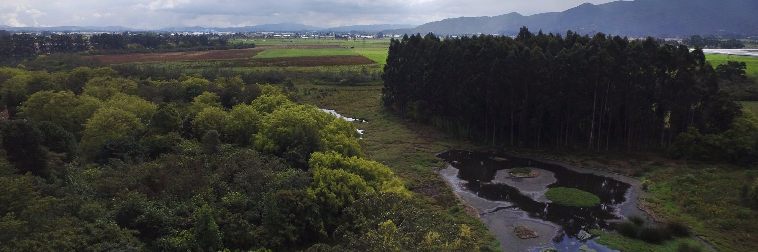 EL TIEMPO ZONA banner