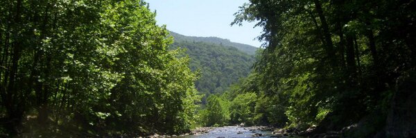 BroPlasma Profile Banner