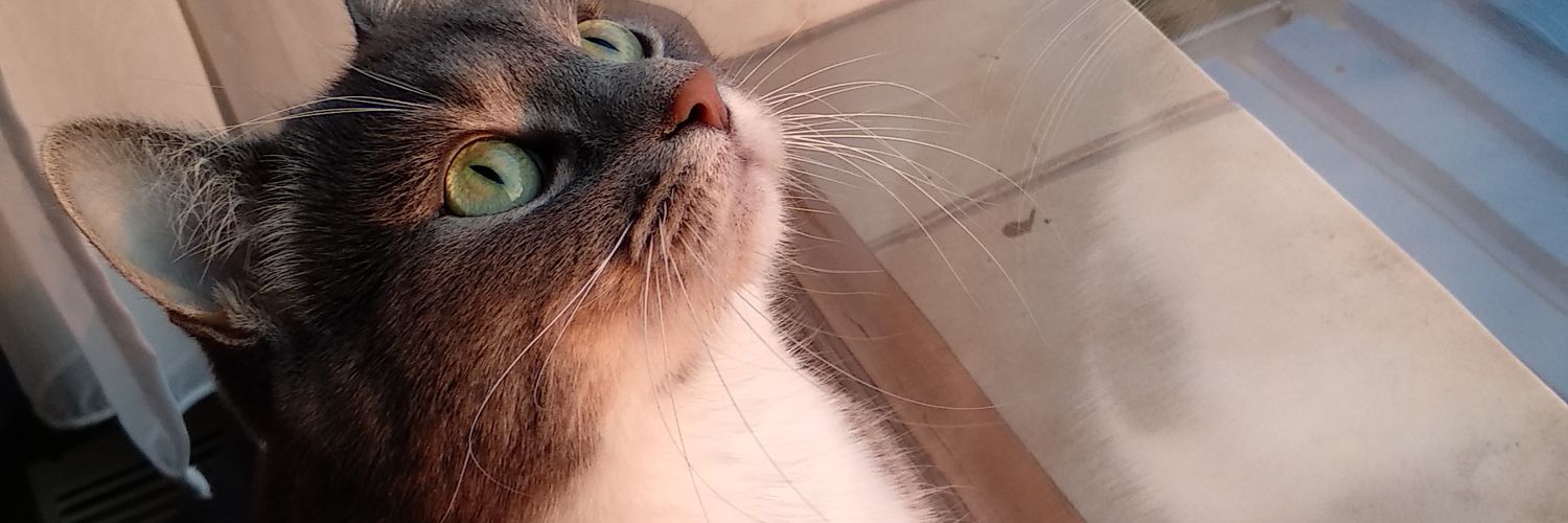 matehk_'s profile banner image