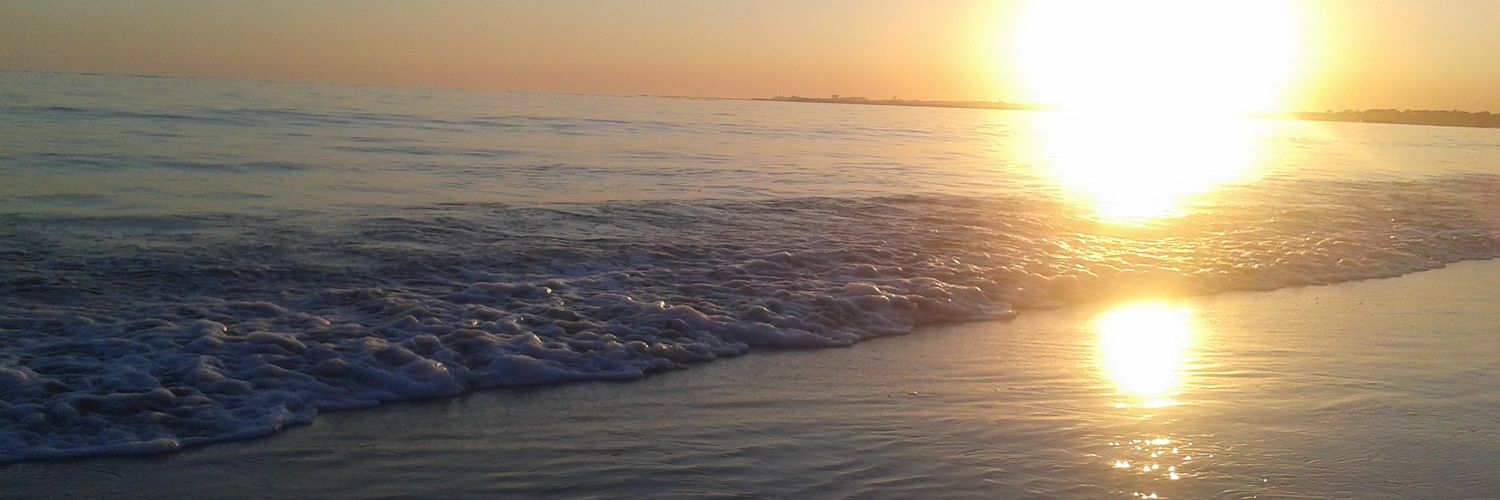 sofiamolinaz's profile banner image