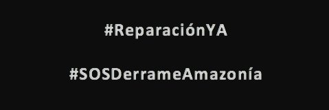 verónica potes 💚 banner