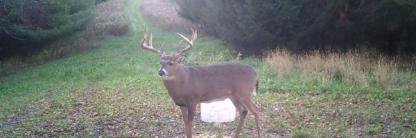 RackWater Profile Banner