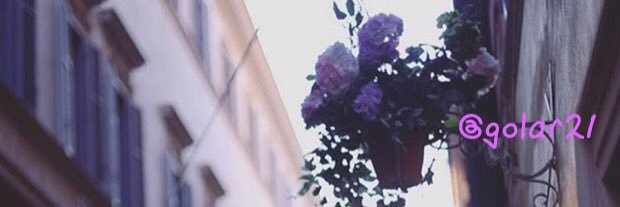 golar21's profile banner image