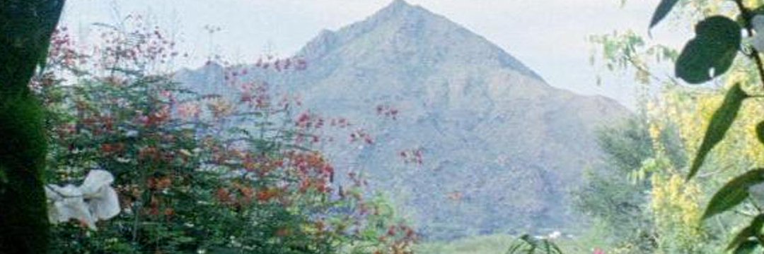 Apputwts's profile banner image