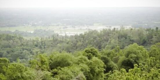 dwwppppp's profile banner image