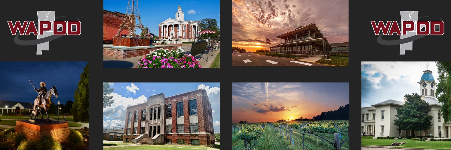 WAPDD banner