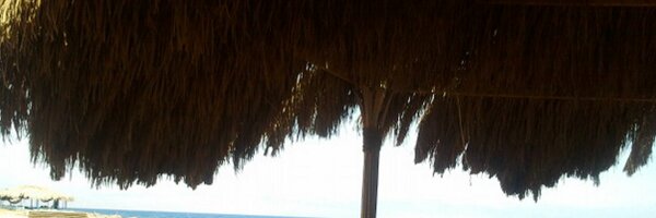 AymanShaaban Profile Banner