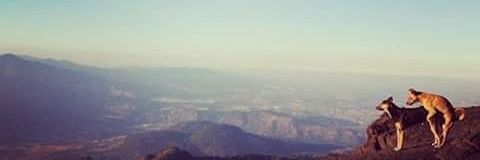 souzza_dre's profile banner image