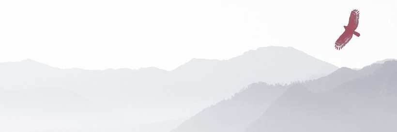 SSEB banner
