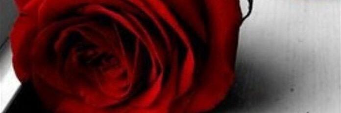 shatha_081's profile banner image