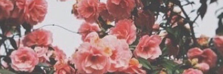 SASSYforDAYSSS's profile banner image