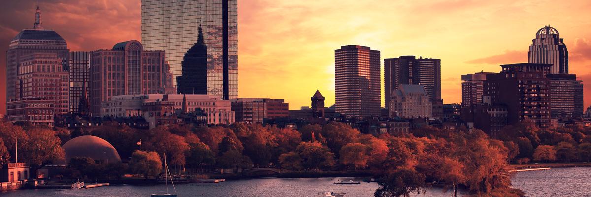 _fazzina's profile banner image