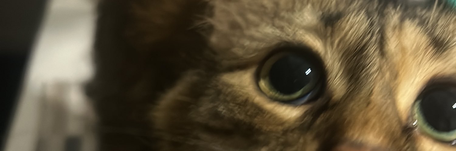 laura_rst's profile banner image