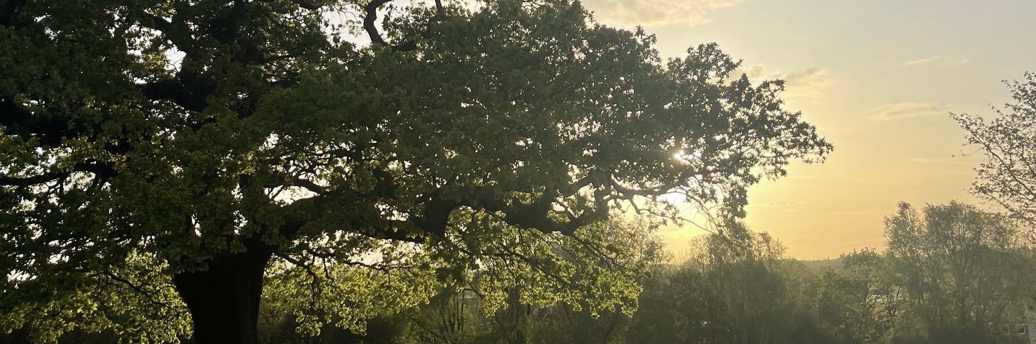 joaoboscolins's profile banner image