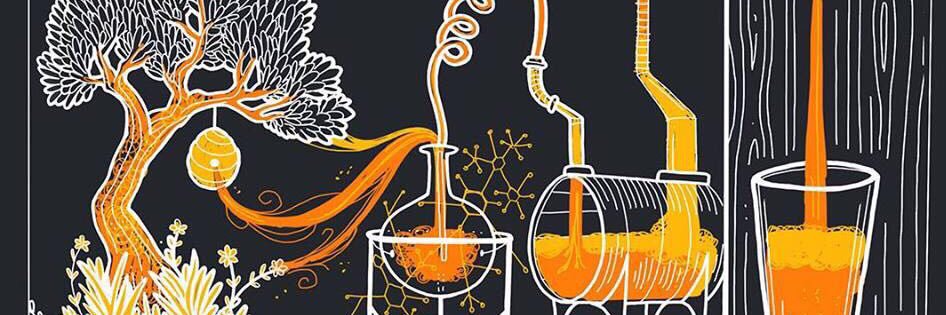 D9 Brewing Company banner