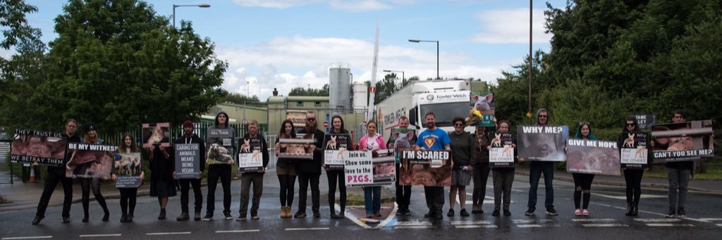 Rob Ⓥ 🇺🇦 banner