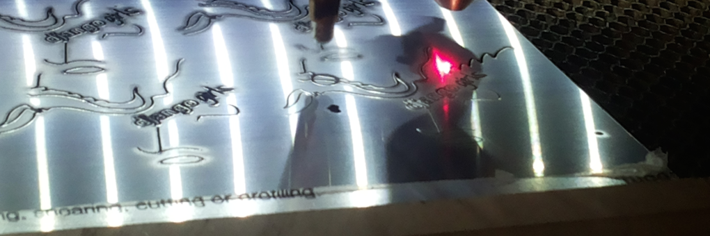 Elena Williams banner