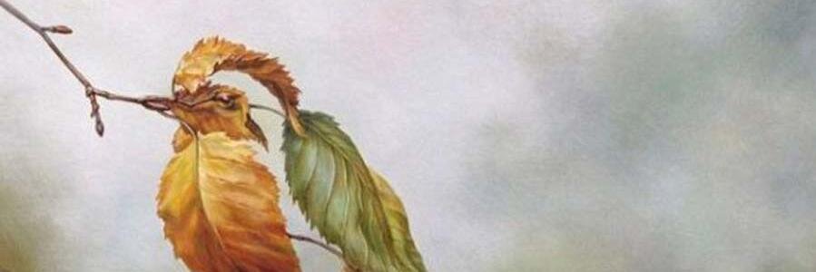 AhAAlhareth's profile banner image