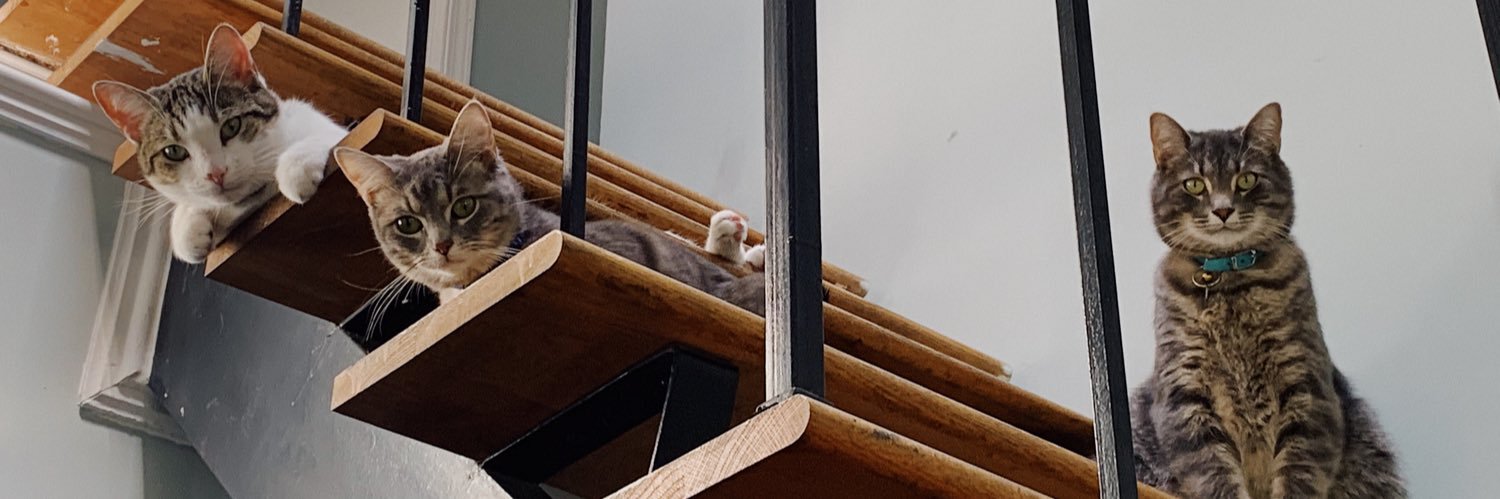 paywilhelm's profile banner image