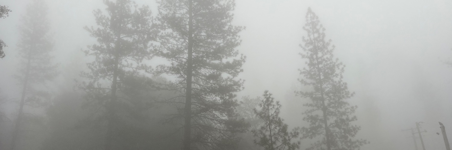 Nekkogc's profile banner image