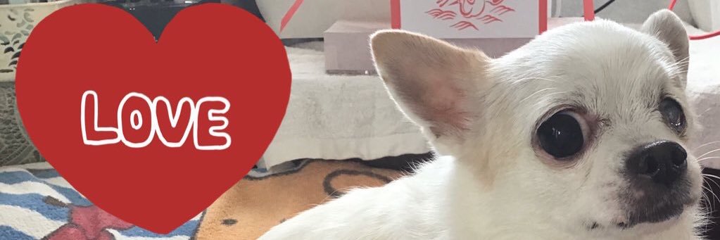 araarayanino's profile banner image
