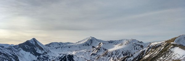 ladycastorp Profile Banner