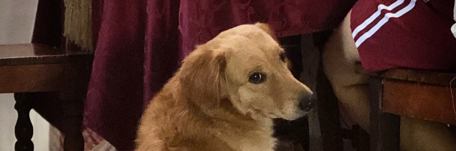 PebPev's profile banner image
