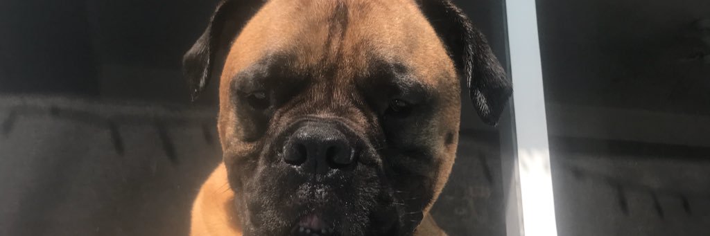 corey_wargo's profile banner image