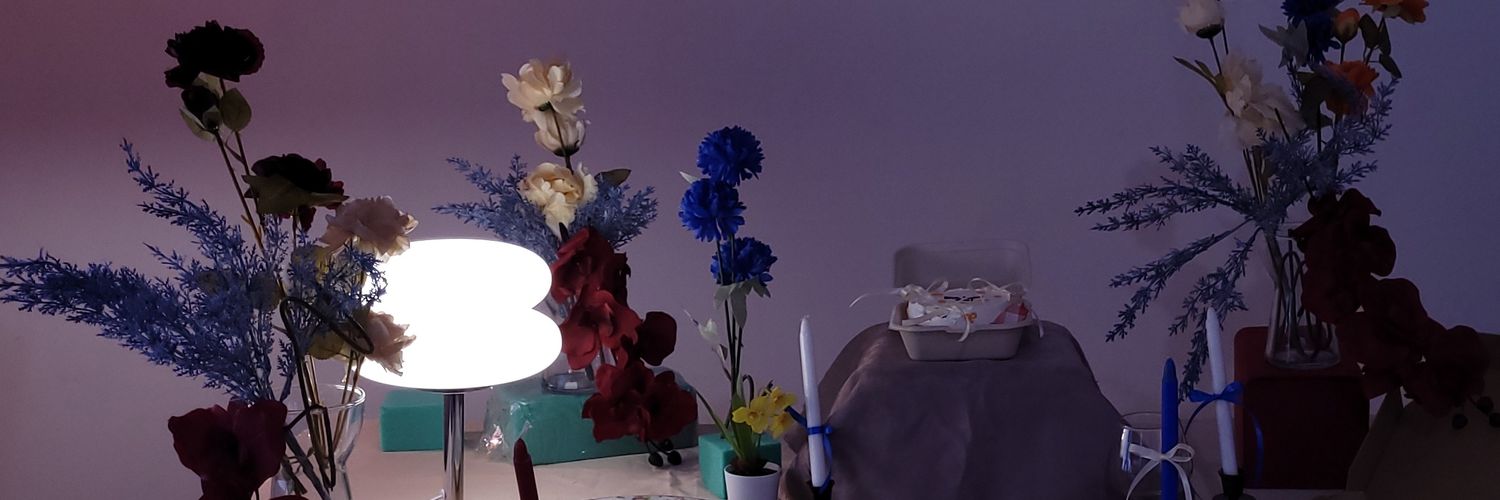 dibbiii's profile banner image