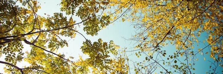liangyi9527's profile banner image