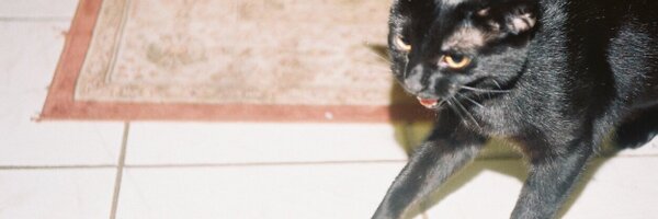 monster_ultra Profile Banner